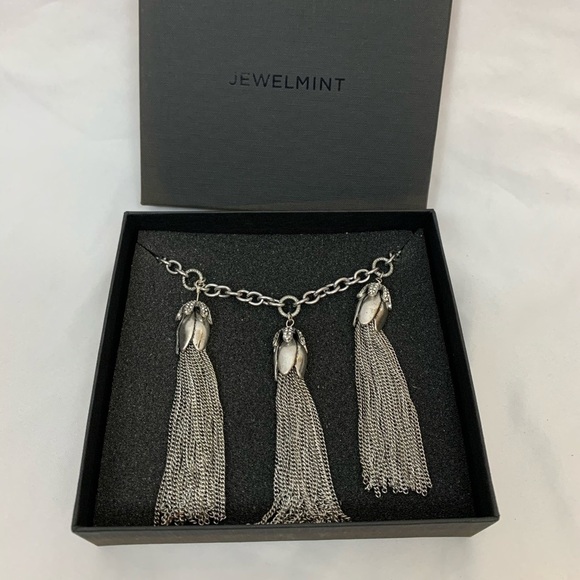 Jewelmint Jewelry - Jewelmint Martagon Silver‎ Tone Tassle Necklace